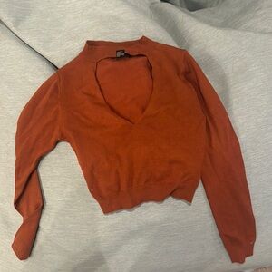 Forever 21 Terracotta V-Neck Sweater(never wore)